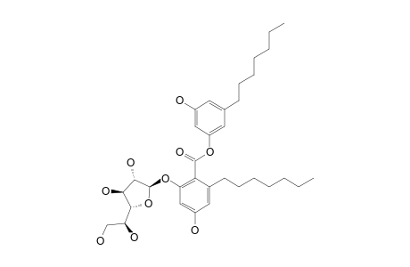 KS-501;2-(BETA-D-GALACTOFURANOSYLOXY)-6-HEPTYL-4-HYDROXYBENZOIC-ACID-3-HEPTYL-5-HYDROXYPHENYLESTER