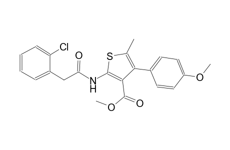 methyl 2-{[(2-chlorophenyl)acetyl]amino}-4-(4-methoxyphenyl)-5-methyl-3-thiophenecarboxylate