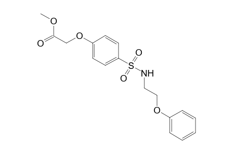 2-[4-(2-phenoxyethylsulfamoyl)phenoxy]acetic acid methyl ester