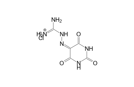 Guanidine, [(tetrahydro-2,4,6-trioxo-5(2H)-pyrimidinylidene)amino]-, hydrochloride