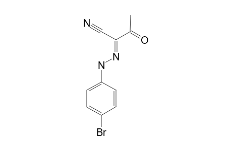 2-(4-BrOMOPHENYL)-HYDRAZONO-3-OXOBUTANENITRILE