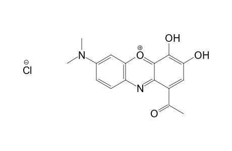 Carbonacidmethylester V. dimethylamino-dihydroxy-diphenazoxoniumchloride