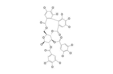 TELLIMAGRANDIN-I