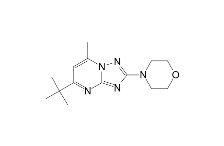 5-METHYL-2-MORPHOLINO-7-TERT.-BUTYL-1,2,4-TRIAZOLO-[1.5-A]-PYRIMIDINE