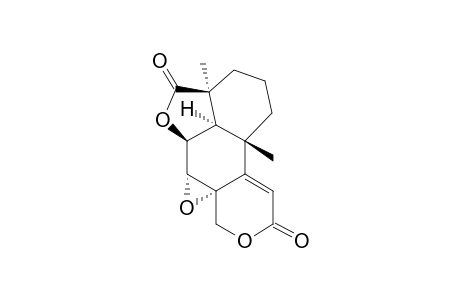 Oidiodendrolide C