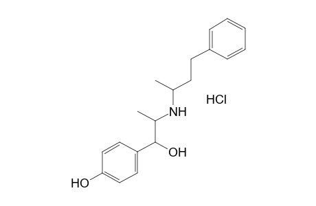 p-HYDROXY-alpha-{1-[(1-METHYL-3-PHENYLPROPYL)AMINO]ETHYL}BENZYL ALCOHOL, HYDROCHLORIDE
