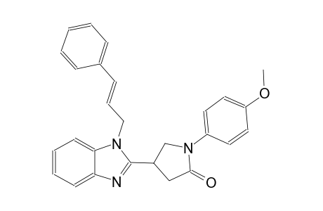 1-(4-methoxyphenyl)-4-{1-[(2E)-3-phenyl-2-propenyl]-1H-benzimidazol-2-yl}-2-pyrrolidinone