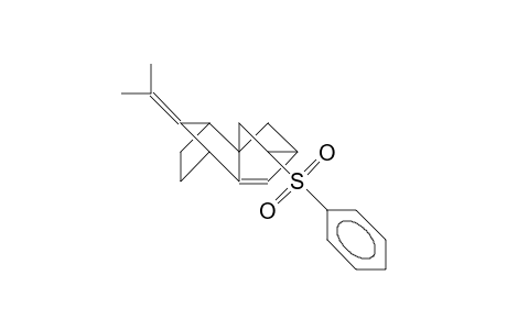 12-Isopropylidene-9-endo-phenylsulfonyl-tetracyclo(6.2.1.1/2,5/.0/1,6/)dodec-6-ene