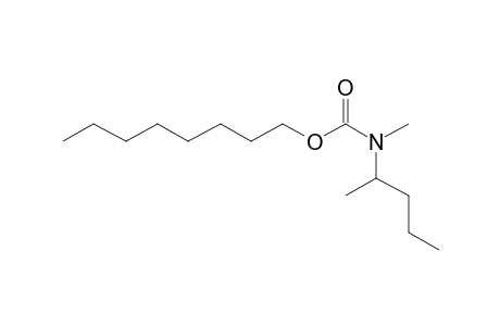 Carbonic acid, monoamide, N-(2-pentyl)-N-methyl-, octyl ester