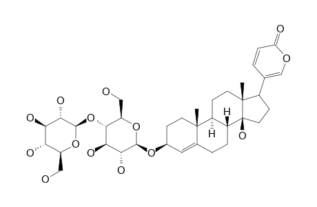 SCILLARENIN-3-O-BETA-D-GLUCOSIDO-1''->4'-BETA-D-GLUCOSIDE