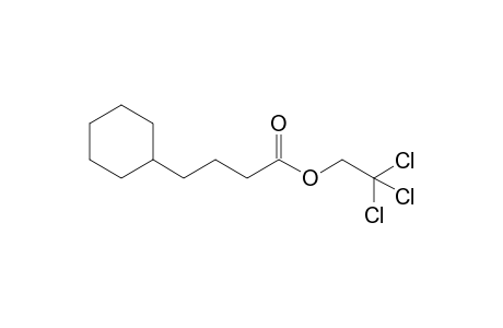2,2,2-trichloroethyl 4-cyclohexylbutanoate