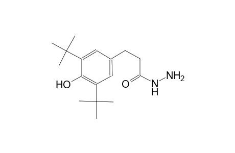 3-(3,5-Ditert-butyl-4-hydroxyphenyl)propanohydrazide