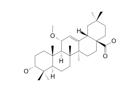 FATSICARPAIN_F;3-ALPHA-HYDROXY-11-ALPHA-METHOXYOLEAN-12-EN-28-OIC_ACID