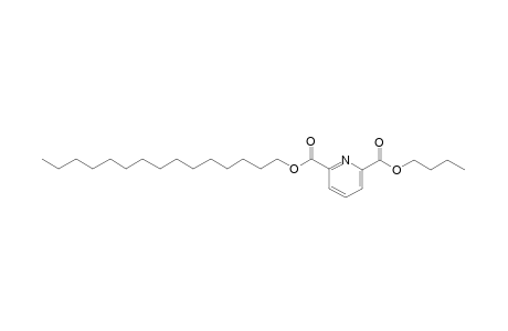 2,6-Pyridinedicarboxylic acid, butyl pentadecyl ester