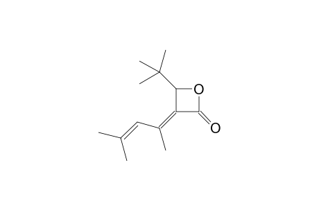 2-(1',3'-Dimethyl-1',2'-butadien-1'-yl)-3-(1",1"-dimethylethyl)-.beta.-propiolactone