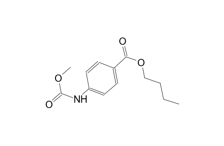 butyl 4-[(methoxycarbonyl)amino]benzoate