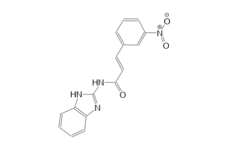 (2E)-N-(1H-benzimidazol-2-yl)-3-(3-nitrophenyl)-2-propenamide