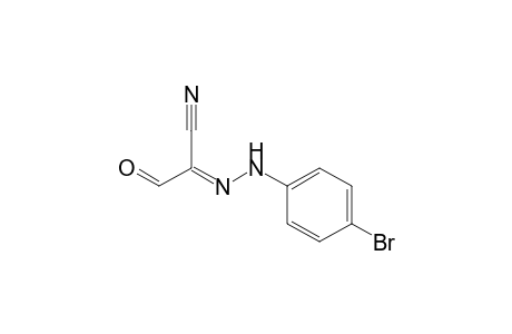 2-[(4'-Bromophenyl)hydrazono]-3-oxopropionitrile