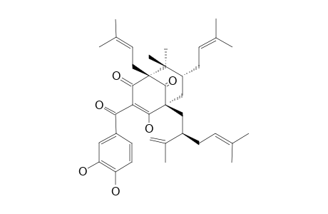 GUTTIFERONE-F