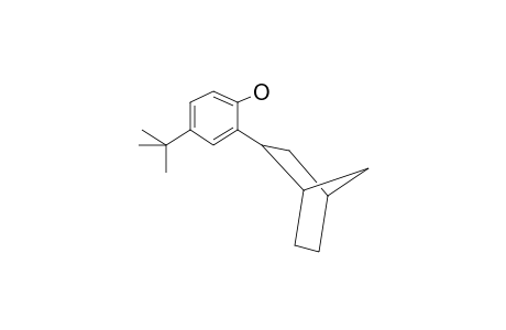 2-{Bicyclo[2.2.1]heptan-2-yl}-4-tert-butylphenol