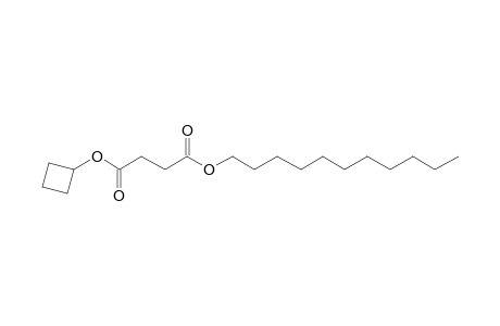 Succinic acid, cyclobutyl undecyl ester