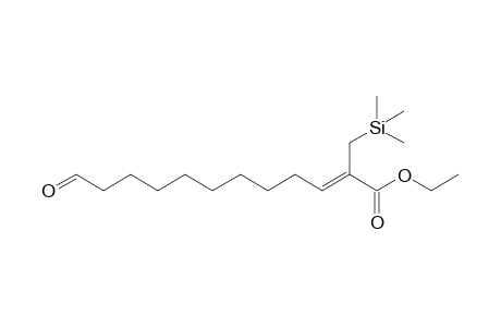 (Z)-12-keto-2-(trimethylsilylmethyl)dodec-2-enoic acid ethyl ester