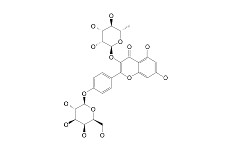 KAEMPFEROL-3-RHAMNOPYRANOSIDE-4'-GALACTOPYRANOSIDE