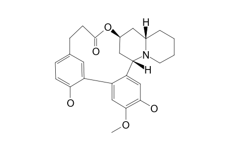 DIHYDROLYFOLINE