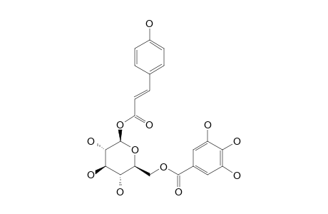 1'-O-COUMAROYL-6'-O-GALLOYL-BETA-D-GLUCOPYRANOSIDE