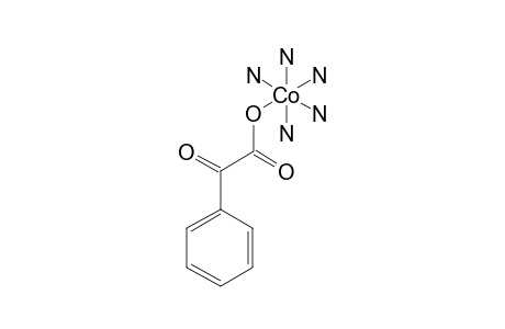(2-OXO-2-PHENYLPROPANOATO)-PENTAAMINECOBALT(III)