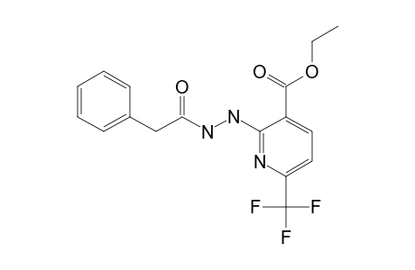 2-BENZYL-CARBONYL-HYDRAZINO-3-ETHOXY-CARBONYL-6-TRIFLUOROMETHYL-PYRIDINE