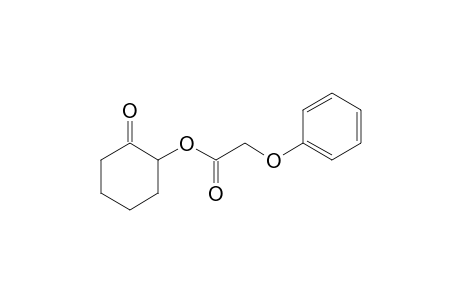 2-(Phenoxyacetoxy)cyclohexanone