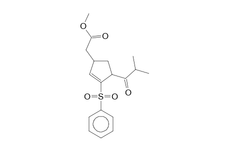 (3-Benzenesulfonyl-4-isobutyrylcyclopent-2-enyl)acetic acid, methyl ester