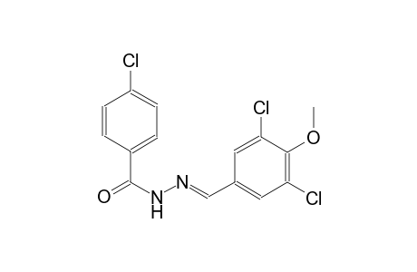 4-chloro-N'-[(E)-(3,5-dichloro-4-methoxyphenyl)methylidene]benzohydrazide