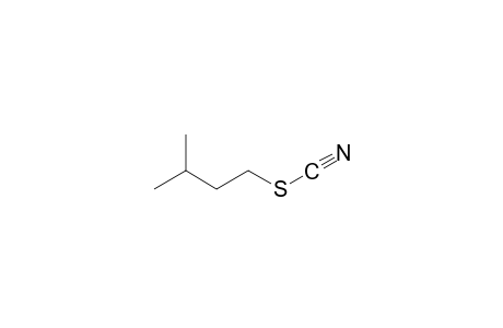thiocyanic acid, isopentyl ester
