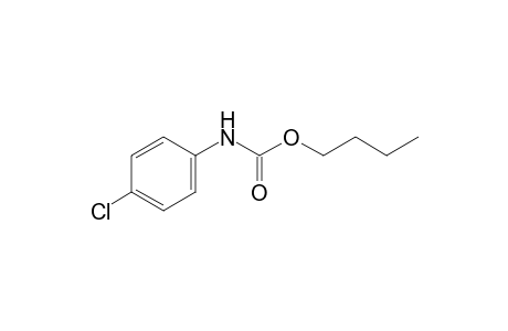 p-chlorocarbanilic acid, butyl ester