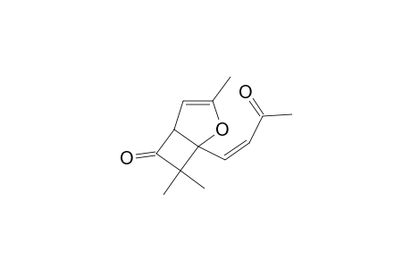 3,7,7-Trimethyl-1-(3-oxo-but-1-enyl)-2-oxa-bicyclo[3.2.0]hept-3-en-6-one