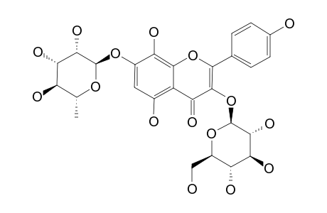 SINOCRASSOSIDE-C1;HERBACETIN-3-O-BETA-D-GLUCOPYRANOSYL-7-O-ALPHA-L-RHAMNOPYRANOSIDE