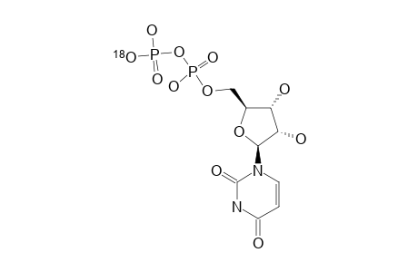 18O-LABELED-UDP;URIDINE-5'-DIPHOSPHATE