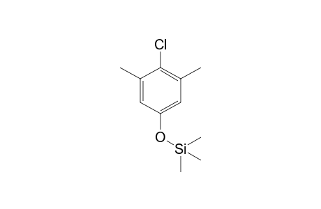 4-Chloro-3,5-dimethylphenol TMS