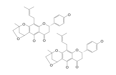 FUSCAFLAVANONE-B;(2S)-5,4'-DIHYDROXY-8-(3,3-DIMETHYLALLYL)-1-METHYL-2,6-DIOXABICYCLO-[3,2,1]-OCTANO-[3,4:6,7]-FLAVANONE