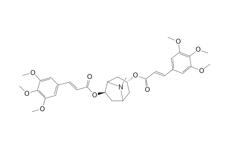 Pervilleine C