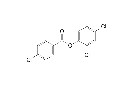 p-chlorobenzoic acid, 2,4-dichlorophenyl ester