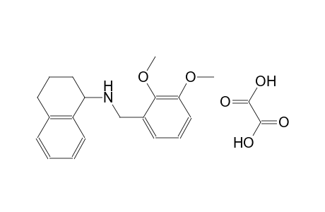 N-(2,3-dimethoxybenzyl)-1,2,3,4-tetrahydro-1-naphthalenamine oxalate