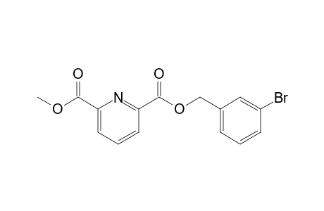 2,6-Pyridinedicarboxylic acid, 3-bromobenzyl methyl ester