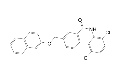 N-(2,5-dichlorophenyl)-3-[(2-naphthyloxy)methyl]benzamide