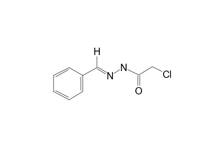 Benzaldehyde chloroacetylhydrazone