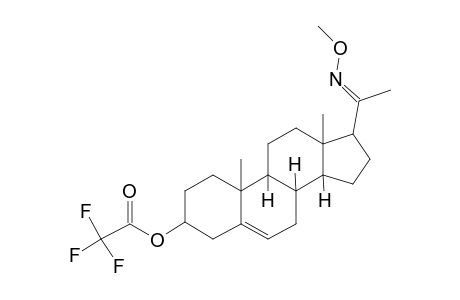 5-Pregnen-3.beta.-ol-20-one, trifluoroacetate, o-methyloxime