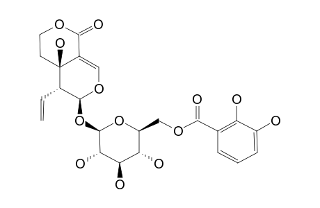 6'-O-(2,3-DIHYDROXYBENZOYL)-SWERTIAMARIN