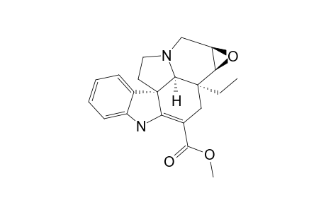 Pachysiphine